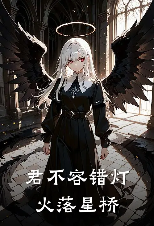 君不容错灯火落星桥