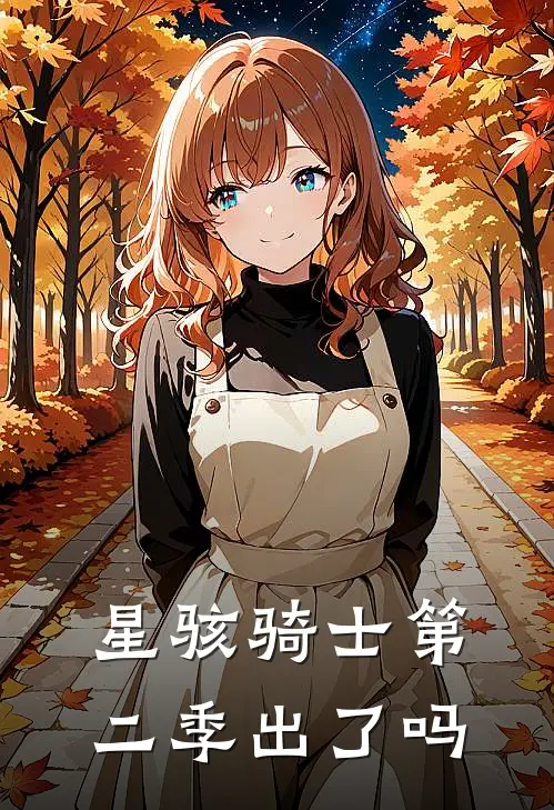 星骇骑士第二季出了吗